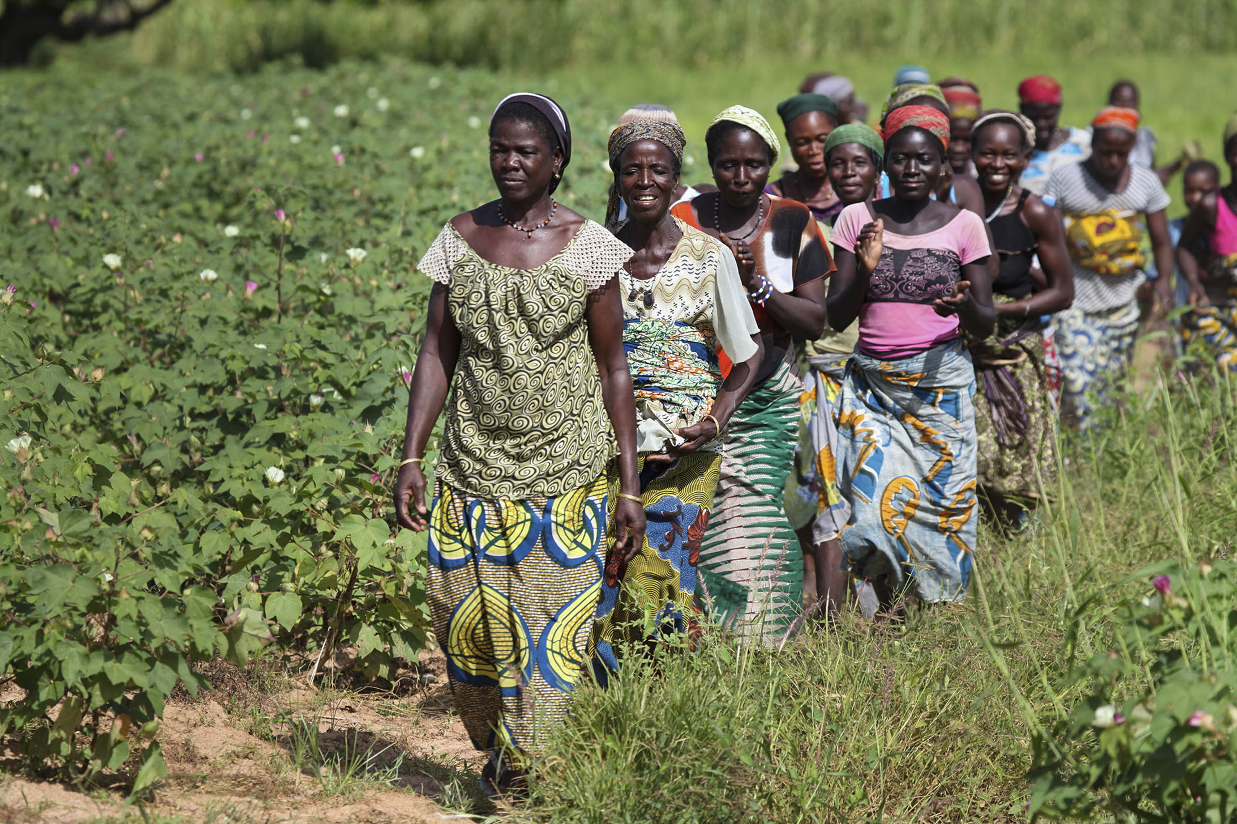 Burkina Faso Engages In Collaborative Efforts To Mainstream Climate And   Burkina Faso 